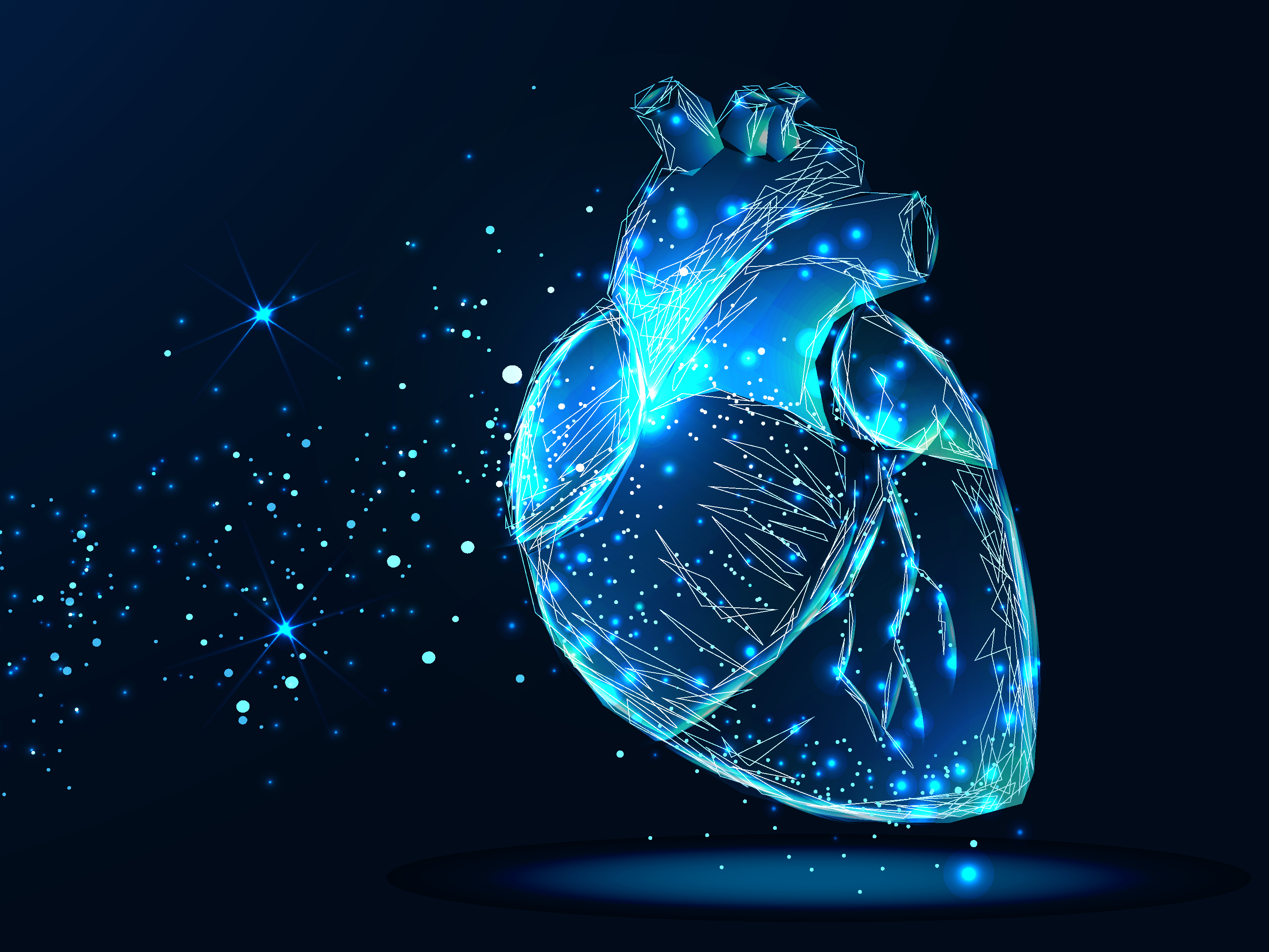 Herz. Vektorgrafik einzeln auf Herz. Low-Poly-Wireframe und Punkte. Polygonales 3D-menschliches Organ auf dunkelblauem Hintergrund. Medizin-Konzept mit Geometrie-Dreieck. Abstraktes Herz  IRINA SHI - 1955887819 Shutterstock